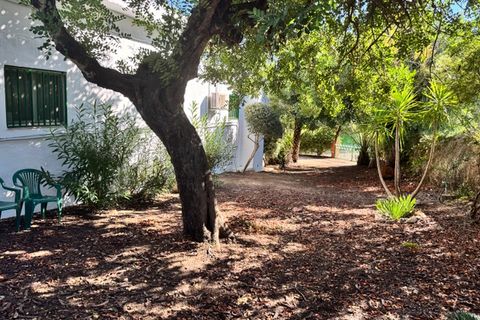 Villa a Guadassuar, Valencia, Guadassuar - € 400.000 | Ref: es5554908 - foto 18