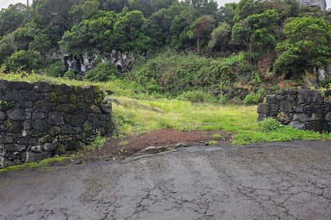 Helårsgrund i Piedade, Pico, Piedade - € 50.000 | Ref: AZ98464MK - foto 1
