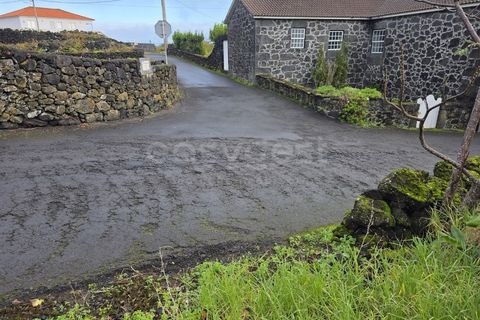 Helårsgrund i Piedade, Pico, Piedade - € 50.000 | Ref: AZ98464MK - foto 2