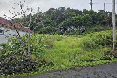 Helårsgrund i Piedade, Pico, Piedade - € 50.000 | Ref: AZ98464MK - foto 3
