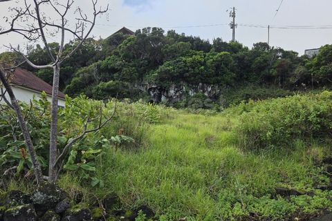 Helårsgrund i Piedade, Pico, Piedade - € 50.000 | Ref: AZ98464MK - foto 4