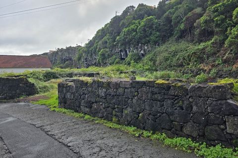 Helårsgrund i Piedade, Pico, Piedade - € 50.000 | Ref: AZ98464MK - foto 5