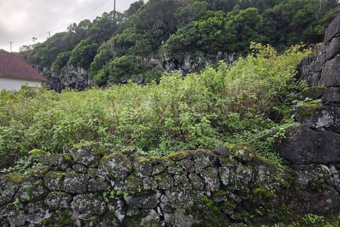 Helårsgrund i Piedade, Pico, Piedade - € 50.000 | Ref: AZ98464MK - foto 6