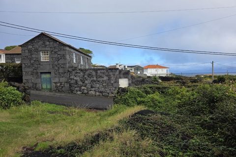Helårsgrund i Piedade, Pico, Piedade - € 50.000 | Ref: AZ98464MK - foto 7