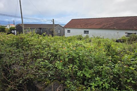 Helårsgrund i Piedade, Pico, Piedade - € 50.000 | Ref: AZ98464MK - foto 10