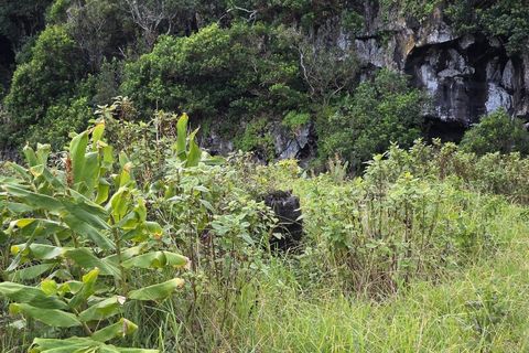 Helårsgrund i Piedade, Pico, Piedade - € 50.000 | Ref: AZ98464MK - foto 12