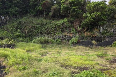 Helårsgrund i Piedade, Pico, Piedade - € 50.000 | Ref: AZ98464MK - foto 13