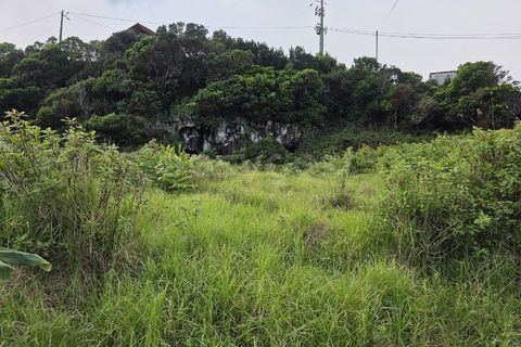 Helårsgrund i Piedade, Pico, Piedade - € 50.000 | Ref: AZ98464MK - foto 14