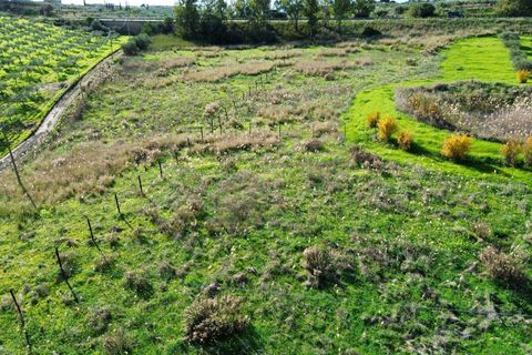 Helårsgrund i Ribera, Agrigento, Ribera - € 60.000 | Ref: T/222 - foto 2