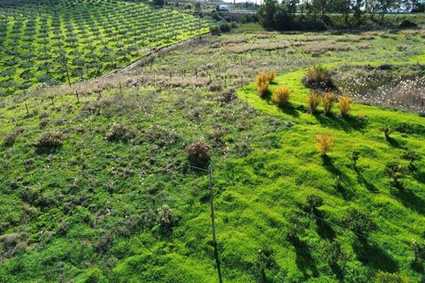 Helårsgrund i Ribera, Agrigento, Ribera - € 60.000 | Ref: T/222 - foto 3