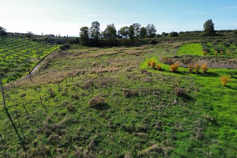 Helårsgrund i Ribera, Agrigento, Ribera - € 60.000 | Ref: T/222 - foto 4