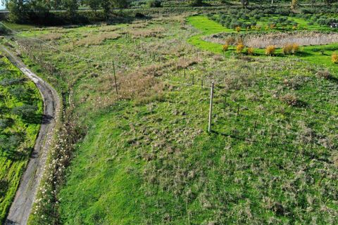Helårsgrund i Ribera, Agrigento, Ribera - € 60.000 | Ref: T/222 - foto 5
