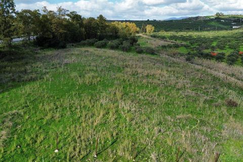 Helårsgrund i Ribera, Agrigento, Ribera - € 60.000 | Ref: T/222 - foto 7