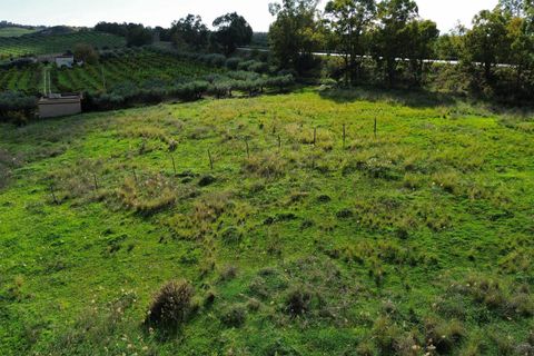 Helårsgrund i Ribera, Agrigento, Ribera - € 60.000 | Ref: T/222 - foto 8