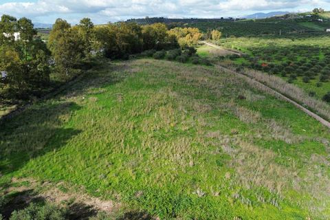 Helårsgrund i Ribera, Agrigento, Ribera - € 60.000 | Ref: T/222 - foto 9