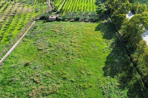 Helårsgrund i Ribera, Agrigento, Ribera - € 60.000 | Ref: T/222 - foto 10