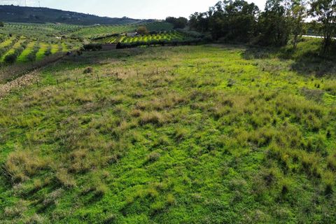 Helårsgrund i Ribera, Agrigento, Ribera - € 60.000 | Ref: T/222 - foto 11