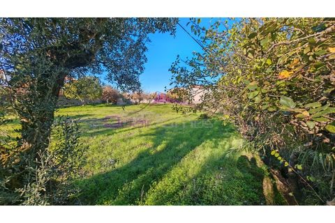 Helårsgrund i Tomar, Santarem, Tomar - € 28.000 | Ref: 2475 - foto 1