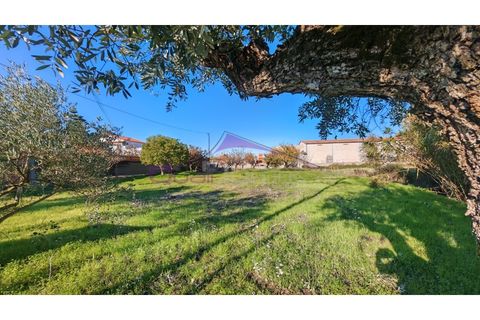 Helårsgrund i Tomar, Santarem, Tomar - € 28.000 | Ref: 2475 - foto 2
