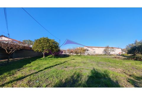 Helårsgrund i Tomar, Santarem, Tomar - € 28.000 | Ref: 2475 - foto 3