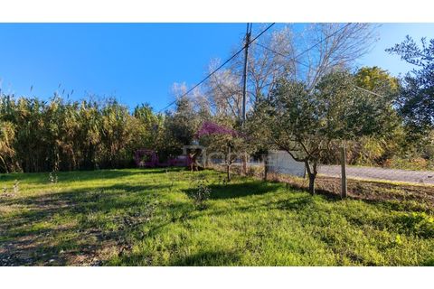 Helårsgrund i Tomar, Santarem, Tomar - € 28.000 | Ref: 2475 - foto 4