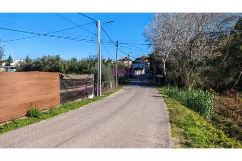 Helårsgrund i Tomar, Santarem, Tomar - € 28.000 | Ref: 2475 - foto 5