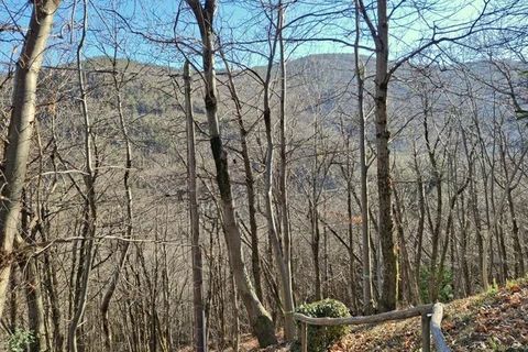 Villa a Pourcharesses, Lozere, Pourcharesses - € 245.000 | Ref: 86587808 - foto 19