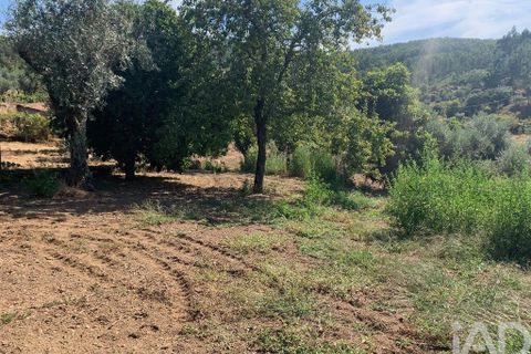 Stadthaus in Serta, Castelo Branco, Serta - € 39.000 | Ref: 126312 - Foto 18