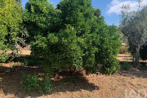 Stadthaus in Serta, Castelo Branco, Serta - € 39.000 | Ref: 126312 - Foto 20