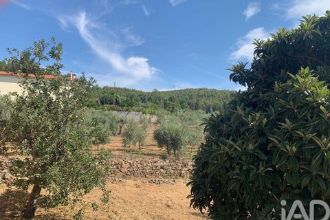 Stadthaus in Serta, Castelo Branco, Serta - € 39.000 | Ref: 126312 - Foto 25