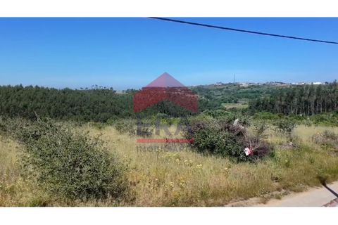 Terra a Carvalhal, Leiria, Carvalhal - € 89.000 | Ref: 150250389 - foto 2