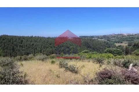 Terra a Carvalhal, Leiria, Carvalhal - € 89.000 | Ref: 150250389 - foto 3