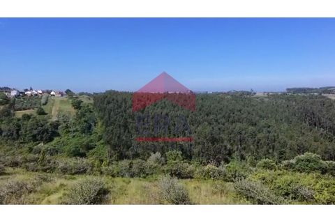 Terra a Carvalhal, Leiria, Carvalhal - € 89.000 | Ref: 150250389 - foto 4