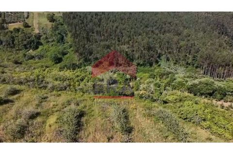 Terra a Carvalhal, Leiria, Carvalhal - € 89.000 | Ref: 150250389 - foto 5