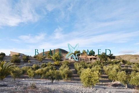 Landejendom i Lorca, Murcia, Lorca - € 359.000 | Ref: LORCAOLIVES/10254 - foto 1