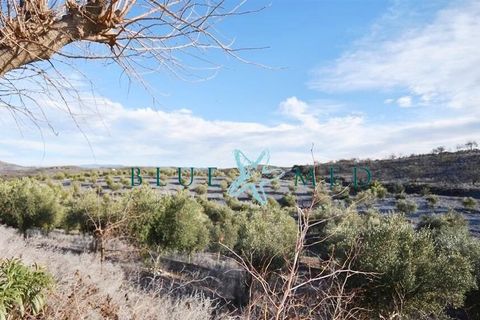 Landejendom i Lorca, Murcia, Lorca - € 359.000 | Ref: LORCAOLIVES/10254 - foto 42