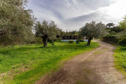 Finca i Monda, Malaga, Monda - € 349.000 | Ref: R5258449 - foto 34