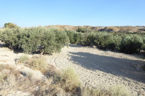 Cave house i Benamaurel, Granada, Benamaurel - € 59.000 | Ref: v3008 - foto 31
