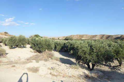 Cave house i Benamaurel, Granada, Benamaurel - € 59.000 | Ref: v3008 - foto 32