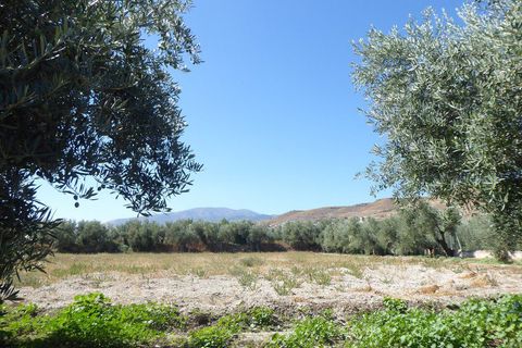 Landejendom i Baza, Granada, Baza - € 128.000 | Ref: v3013 - foto 28