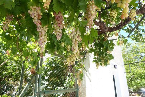 Landejendom i Baza, Granada, Baza - € 128.000 | Ref: v3013 - foto 35
