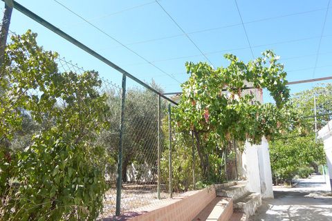 Landejendom i Baza, Granada, Baza - € 128.000 | Ref: v3013 - foto 36