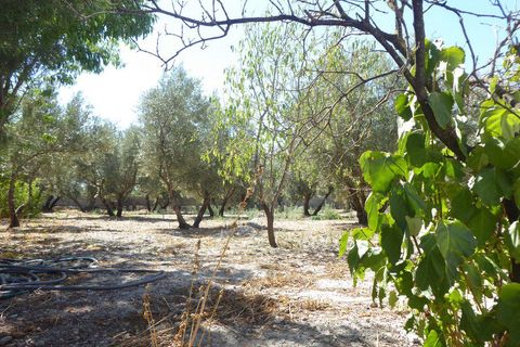 Landejendom i Baza, Granada, Baza - € 128.000 | Ref: v3013 - foto 37