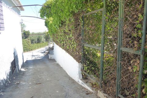 Landejendom i Baza, Granada, Baza - € 128.000 | Ref: v3013 - foto 39