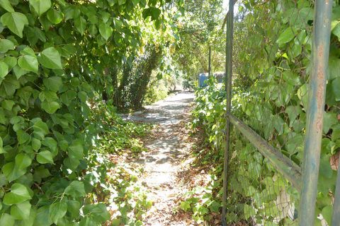 Landejendom i Baza, Granada, Baza - € 128.000 | Ref: v3013 - foto 40
