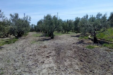 Landejendom i Baza, Granada, Baza - € 128.000 | Ref: v3013 - foto 42