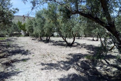Landejendom i Baza, Granada, Baza - € 128.000 | Ref: v3013 - foto 43