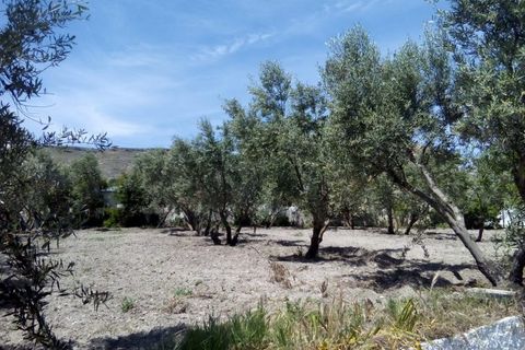 Landejendom i Baza, Granada, Baza - € 128.000 | Ref: v3013 - foto 44