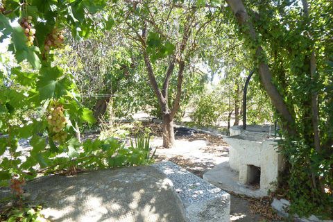 Landejendom i Baza, Granada, Baza - € 128.000 | Ref: v3013 - foto 47