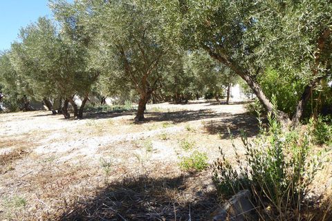 Landejendom i Baza, Granada, Baza - € 128.000 | Ref: v3013 - foto 49